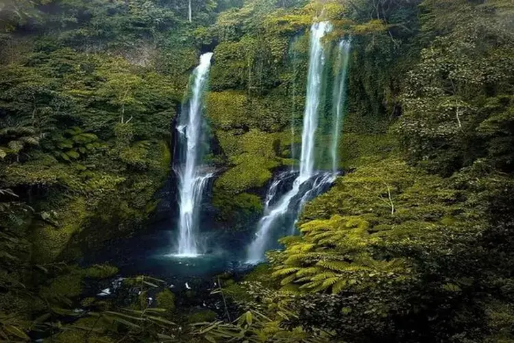 Keajaiban Alam Air Terjun Sekumpul Buleleng