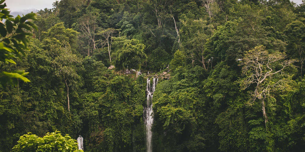 Air Terjun Sekumpul: Surga Tersembunyi di Bali Utara